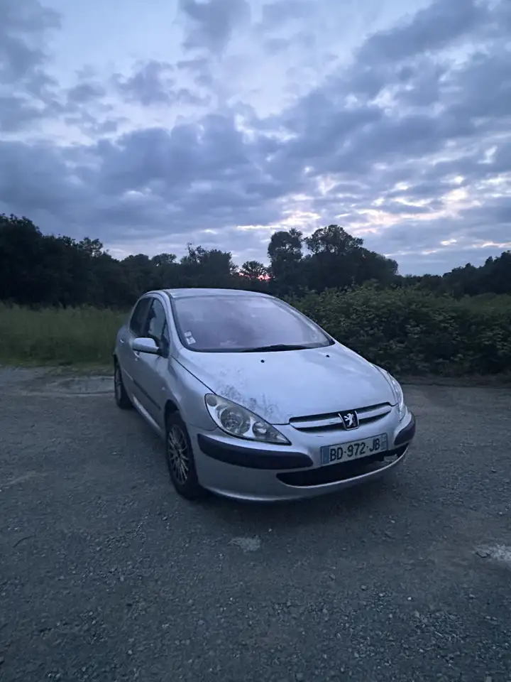 Peugeot 307 2.0 HDi - 90 XS
