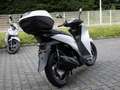 Honda SH 125 B196 Führerschein Blanco - thumbnail 3