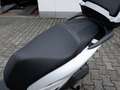 Honda SH 125 B196 Führerschein Blanco - thumbnail 5