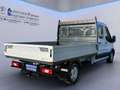 Ford Transit Pritsche DoKa Trend 2.0l 350L3 *AHK*SYNC4* Blanc - thumbnail 5