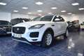 Jaguar E-Pace D150 Panorama Kamera PDC AHK Grigio - thumbnail 3