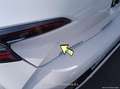 Toyota Corolla 1.8 125H BUSINESS PLUS E-CVT - thumbnail 22