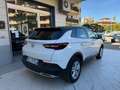 Opel Grandland X 1.5 ecotec Elegance s&s 130 CV EAT8 Bianco - thumbnail 4