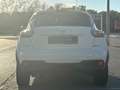 Nissan Juke 1.5dCi S&S Tekna Premium Blanco - thumbnail 5