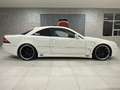 Mercedes-Benz CL 500 V8 - VERSIONE ESCLUSIVA LORINSER - thumbnail 3