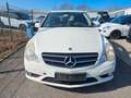 Mercedes-Benz R 280 R R 280 CDI Blanco - thumbnail 7