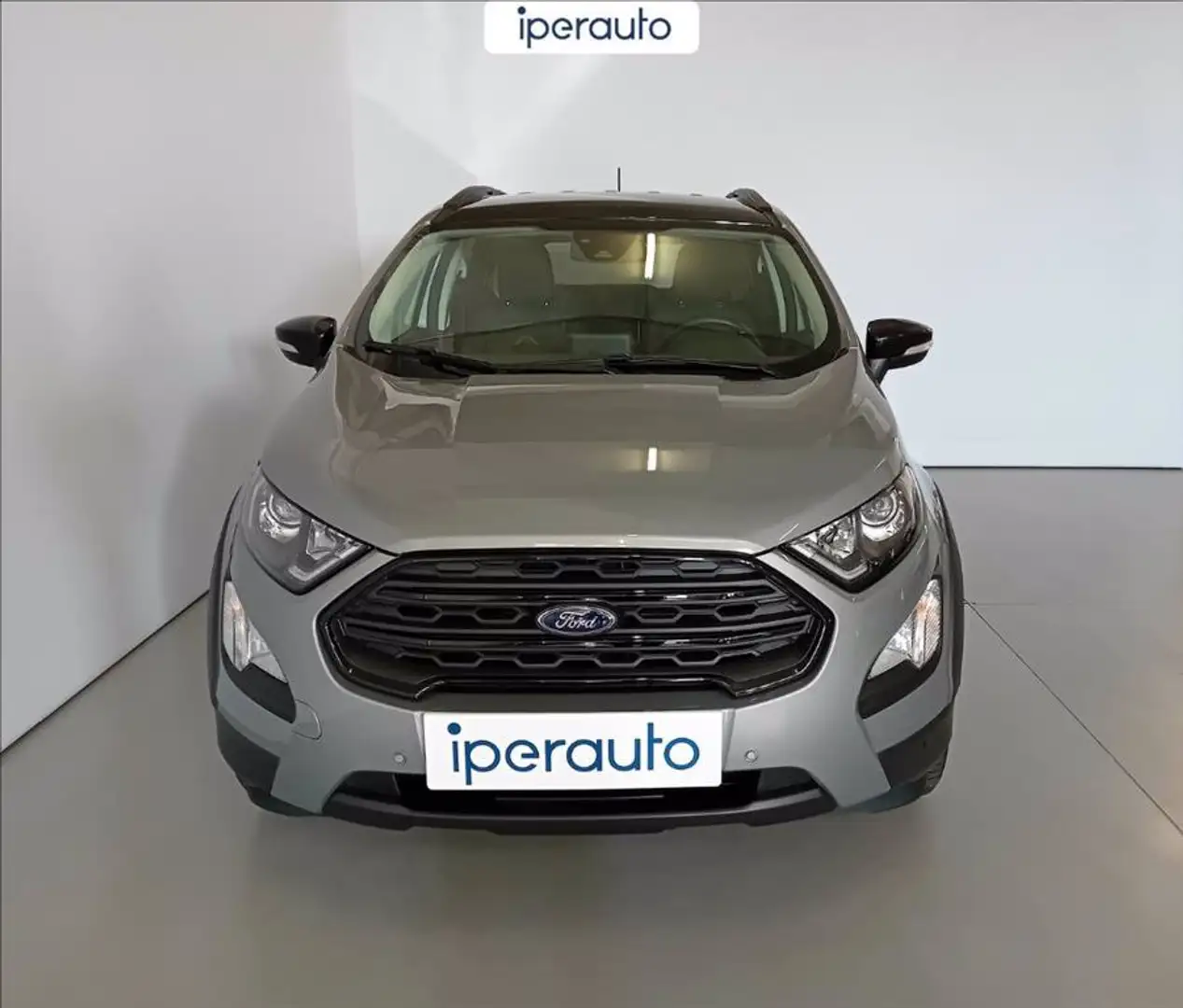 Ford EcoSport 1.0 ecoboost active s&s 125cv Grigio - 2