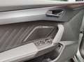 CUPRA Formentor VZ Extreme 2.0 TSI*PANO*RFK*AHK* Grau - thumbnail 9