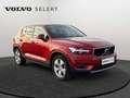 Volvo XC40 D3 Momentum / Diesel Rood - thumbnail 8