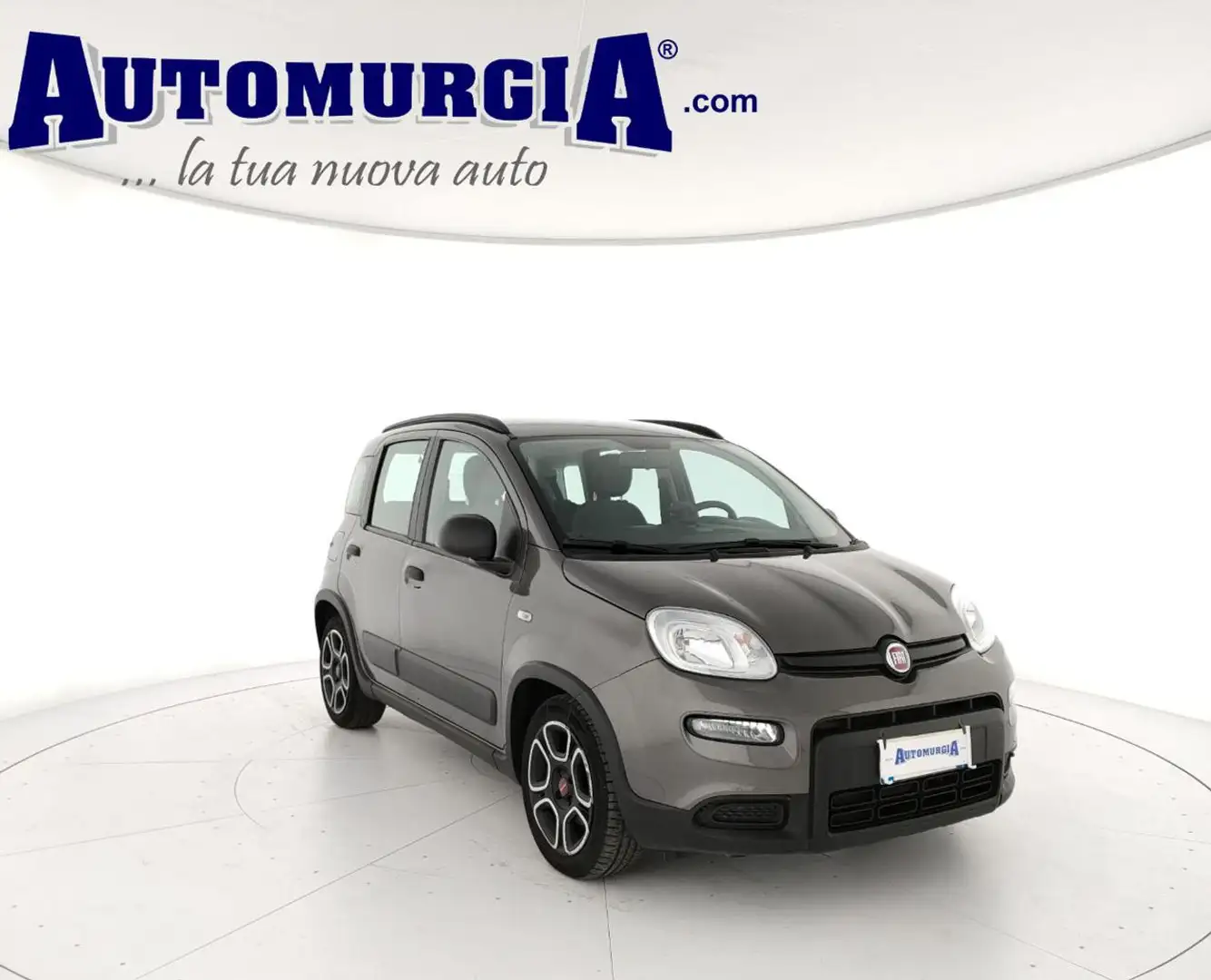 Fiat Panda 1.0 FireFly S&S Hybrid City Life 5 posti Grigio - 1