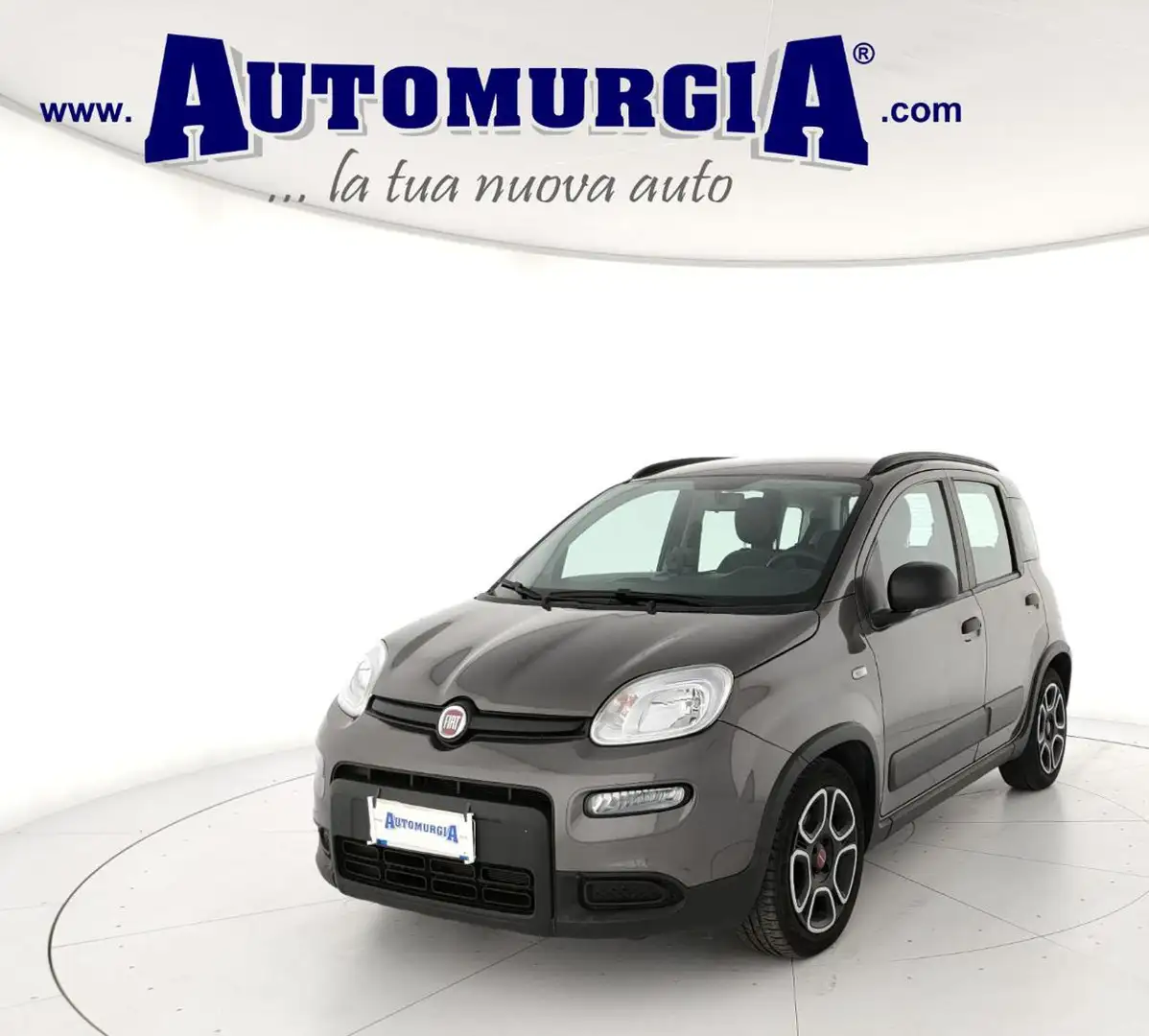 Fiat Panda 1.0 FireFly S&S Hybrid City Life 5 posti Grigio - 2