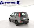 Fiat Panda 1.0 FireFly S&S Hybrid City Life 5 posti Grigio - thumbnail 3