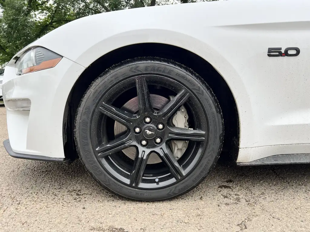2018 Ford Mustang Fastback GT Fastback | Black Appearance Pkg | Rear Cam | Cu — photo 4