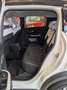 Citroen C3 E 113 Standard-Range Plus Bianco - thumbnail 12