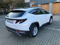 Hyundai TUCSON TUCSON 1.6 T-GDi 48V-Hybrid 4WD DCT Trend Blanc - thumbnail 7