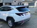 Hyundai TUCSON TUCSON 1.6 T-GDi 48V-Hybrid 4WD DCT Trend Blanc - thumbnail 5