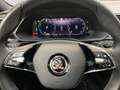 Skoda Superb 1.4TSI Hybrid DSG L&K iV DCC AHK Voll-LED Gris - thumbnail 9