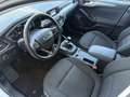 Ford Focus Traveller 1,5 TD Trend *1.BESITZ*WINTER-PAKET*TEMP Weiß - thumbnail 7