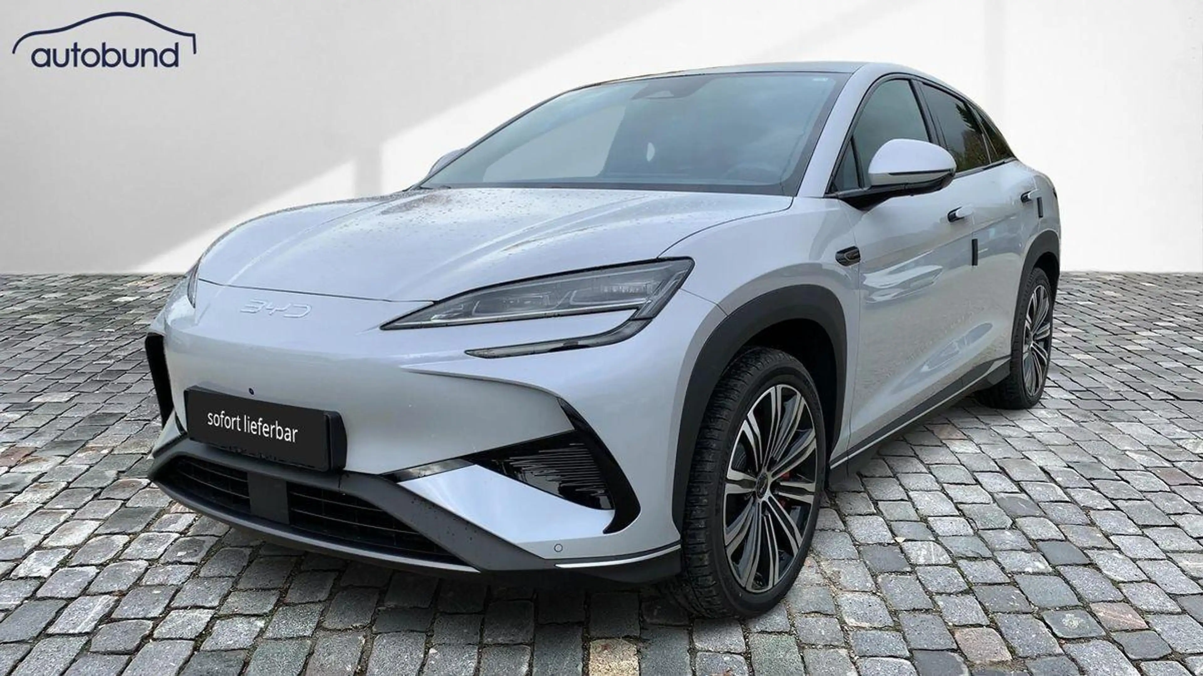 BYD Sealion 7 AWD Design AHK abnehmbar Alu KA LED Link LRH NAV N
