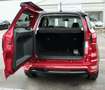 Ford EcoSport ST-Line/1-HAND VOLLLLLLLL Rot - thumbnail 14