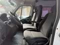 Renault Master 2.3 107kW 9 Sitzer KLIMA Beyaz - thumbnail 8