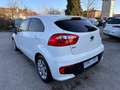 Kia Rio 1.2 CVVT 5p. Cool Grigio - thumbnail 4