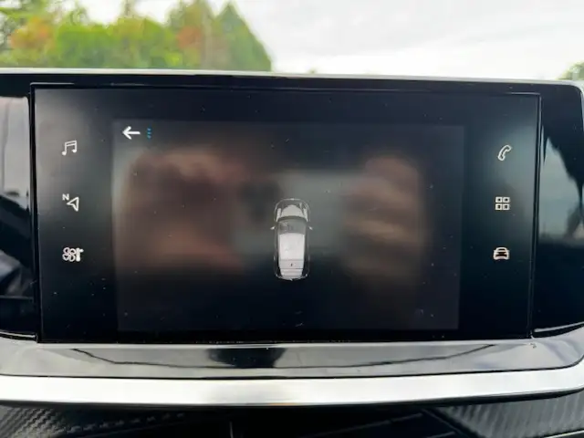 Peugeot 208 view 10