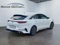 Kia ProCeed / pro_cee'd GT 1.6 T-GDI DCT7 Navi Klimaautom SHZ PDCv+h Apple Weiß - thumbnail 5