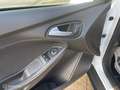 Ford Focus Wagon 1.0 navi I trekhaak I nieuwe distr. riem Weiß - thumbnail 13