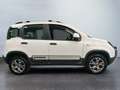 Fiat Panda Panda Cross 1.3 MJT 95 CV S&S 4x4 - thumbnail 4