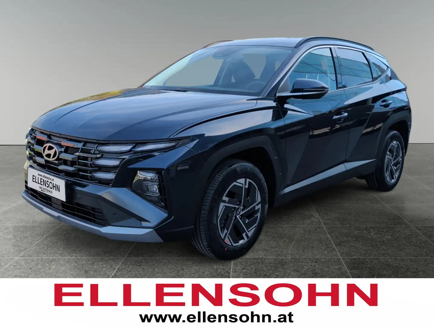 Hyundai TUCSON NX4 Jubile 1,6 T-GDi HEV 4WD AT Blau - 1