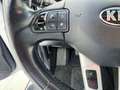 Kia Sportage Sportage 1.7 crdi Cool 2wd FL White - thumbnail 12