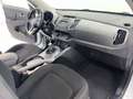 Kia Sportage Sportage 1.7 crdi Cool 2wd FL White - thumbnail 8