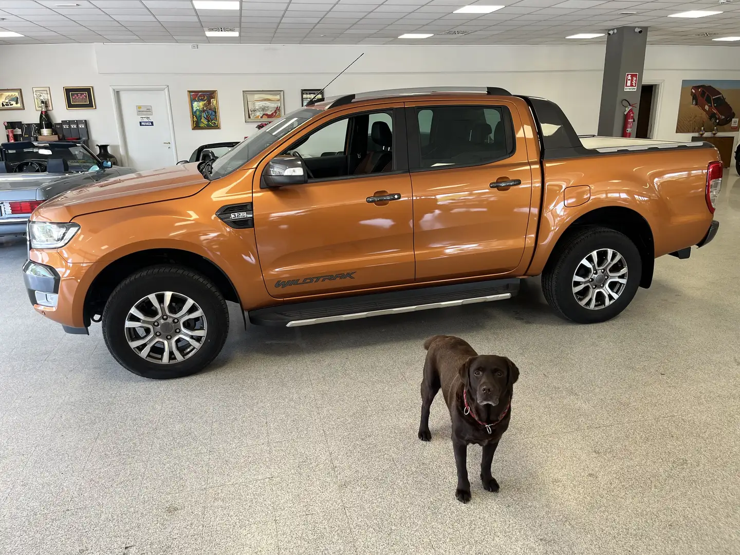 Ford Ranger 3.2 tdci Wildtrak 200cv auto narančasta - 2