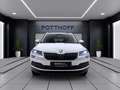 Skoda Karoq 2.0 TDI DSG 4x4 DRIVE 125 NAVI KAMERA ACC PDC White - thumbnail 7