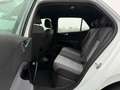 Volkswagen ID.3 First Plus 58 kWh / 150 kW/204 PK / Elektrisch / A Weiß - thumbnail 8