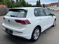 Volkswagen Golf VIII Lim. 2,0 TDI Life°PANO°LED°AHK°PDC°ACC Blanc - thumbnail 7