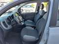 Fiat Panda 1.0 70cv E6D Hybrid City Life Gris - thumbnail 3