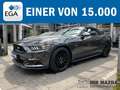Ford Mustang GT Convertible- 5.0 V8, Cabrio, Rückfahrkamera, N Grau - thumbnail 1