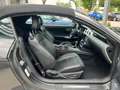 Ford Mustang GT Convertible- 5.0 V8, Cabrio, Rückfahrkamera, N Grau - thumbnail 8