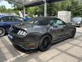 Ford Mustang GT Convertible- 5.0 V8, Cabrio, Rückfahrkamera, N Grau - thumbnail 3