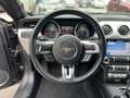 Ford Mustang GT Convertible- 5.0 V8, Cabrio, Rückfahrkamera, N Grau - thumbnail 12