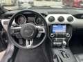 Ford Mustang GT Convertible- 5.0 V8, Cabrio, Rückfahrkamera, N Grau - thumbnail 13