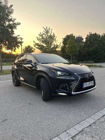Imagine Lexus NX 300h E-FOUR Executive Line *Winterreifen NEU*