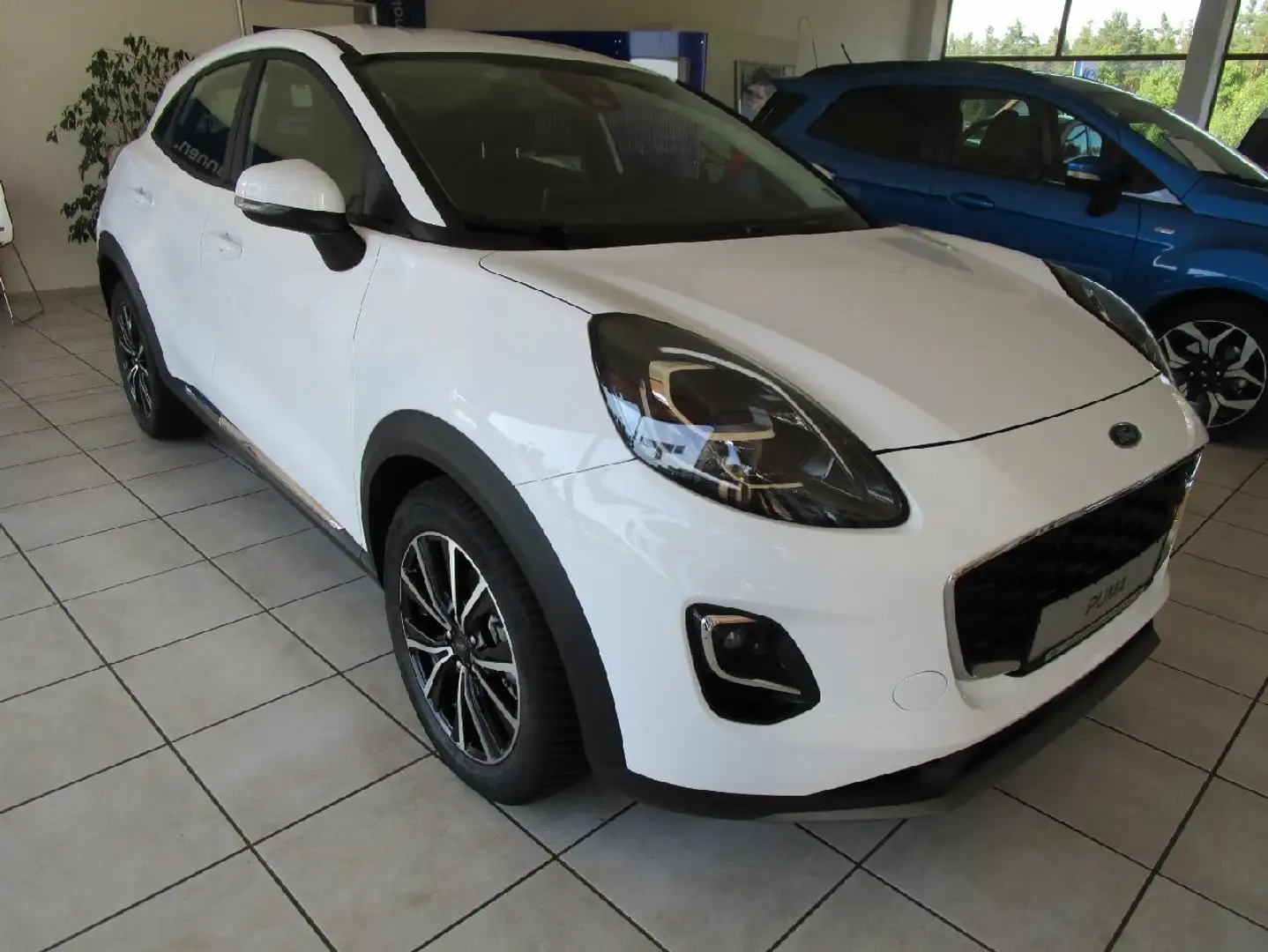 Ford Puma Navi, Lordosenstütze, MultiFunktionslenkrad, Isofi Weiß - 1
