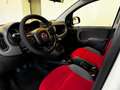 Fiat Panda 1.3 MJT S&S 4x4 Pop Climbing Van 2 posti PERFETTA Bianco - thumbnail 7