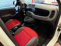 Fiat Panda 1.3 MJT S&S 4x4 Pop Climbing Van 2 posti PERFETTA Bianco - thumbnail 10
