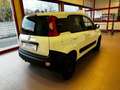 Fiat Panda 1.3 MJT S&S 4x4 Pop Climbing Van 2 posti PERFETTA Bianco - thumbnail 4