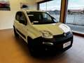 Fiat Panda 1.3 MJT S&S 4x4 Pop Climbing Van 2 posti PERFETTA Bianco - thumbnail 3