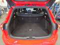 Ford Focus ST-Line Business Tra. 1,5 EcoBlue 120PS A8 Rot - thumbnail 29